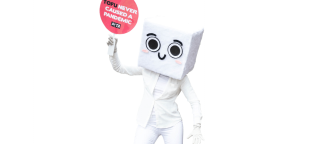 halloween costume