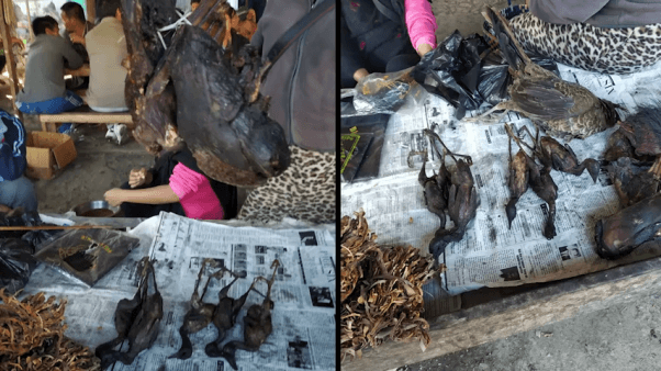 Dead animals in India wet market