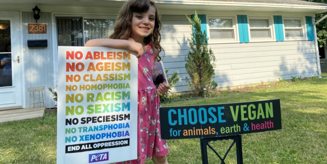 PETA yard sign