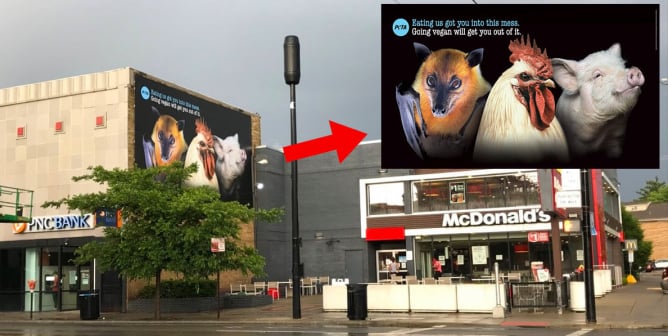 PETA billboard by McDonald's