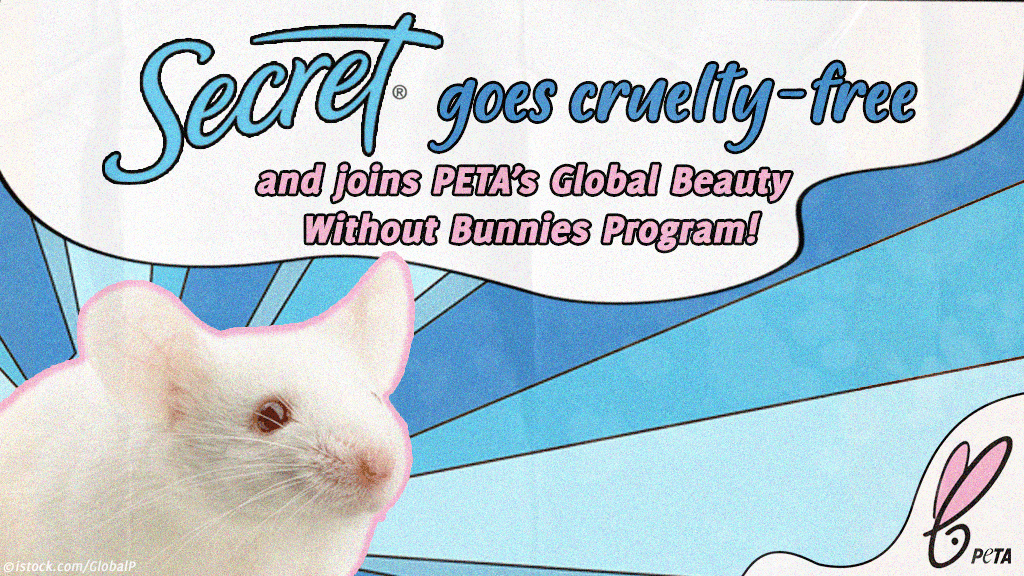 Secret Deodorant Commits to Not Testing on Animals