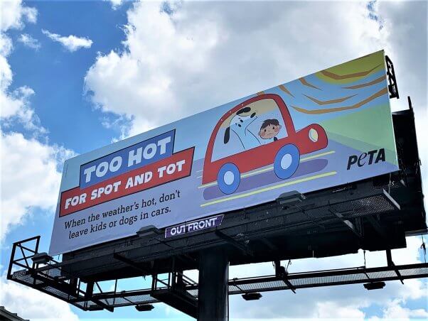 Too Hot for Spot and Tot Billboard