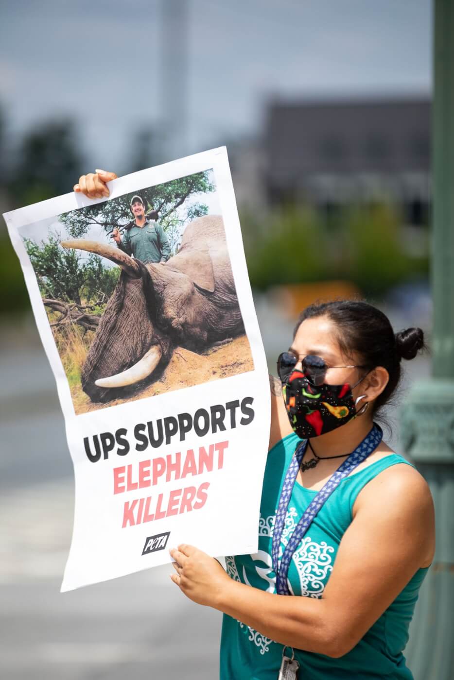 Trophy Hunting Video Prompts UPS Protest: 'Stop Shipping Body Parts!' | PETA Trophy Hunting Video Prompts UPS Protest: 'Stop Shipping Body Parts!' | PETA