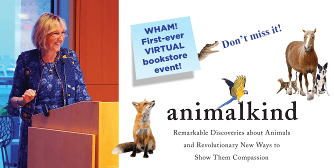 Ingrid and virtual bookstore event