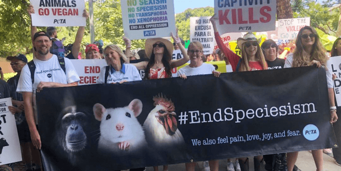 5 Things to Do This ‘World Day for the End of Speciesism’