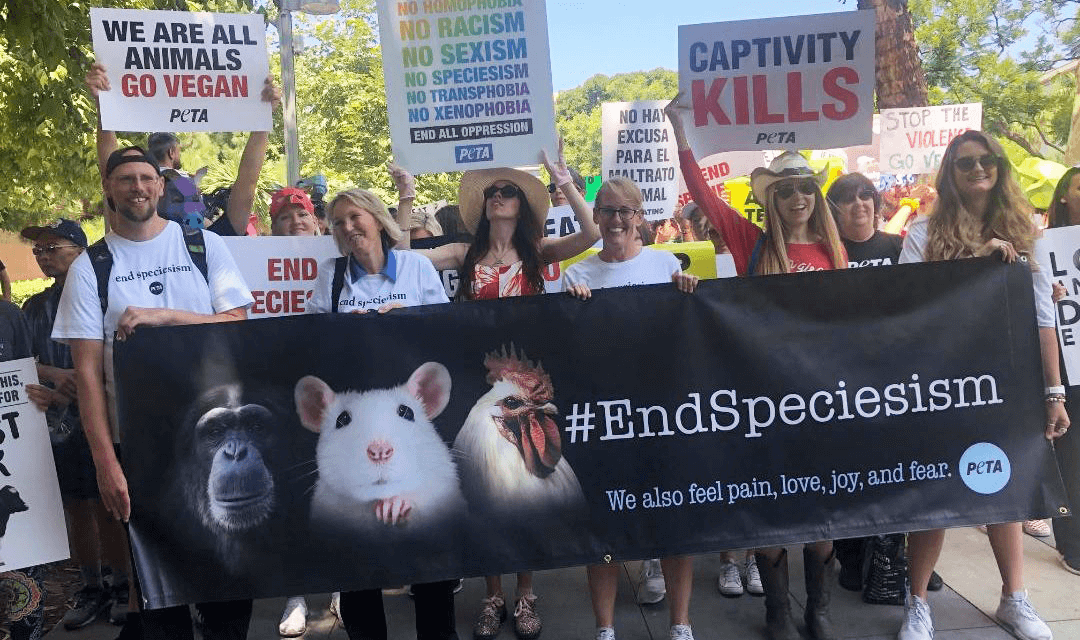 PETA supporters protesting to end speciesism.