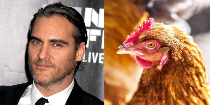 Joaquin Phoenix and Hen in Egg Industry