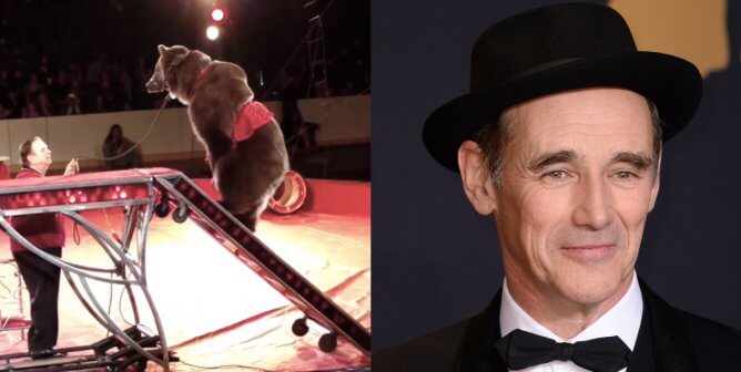 Mark Rylance for bears used for entertainment