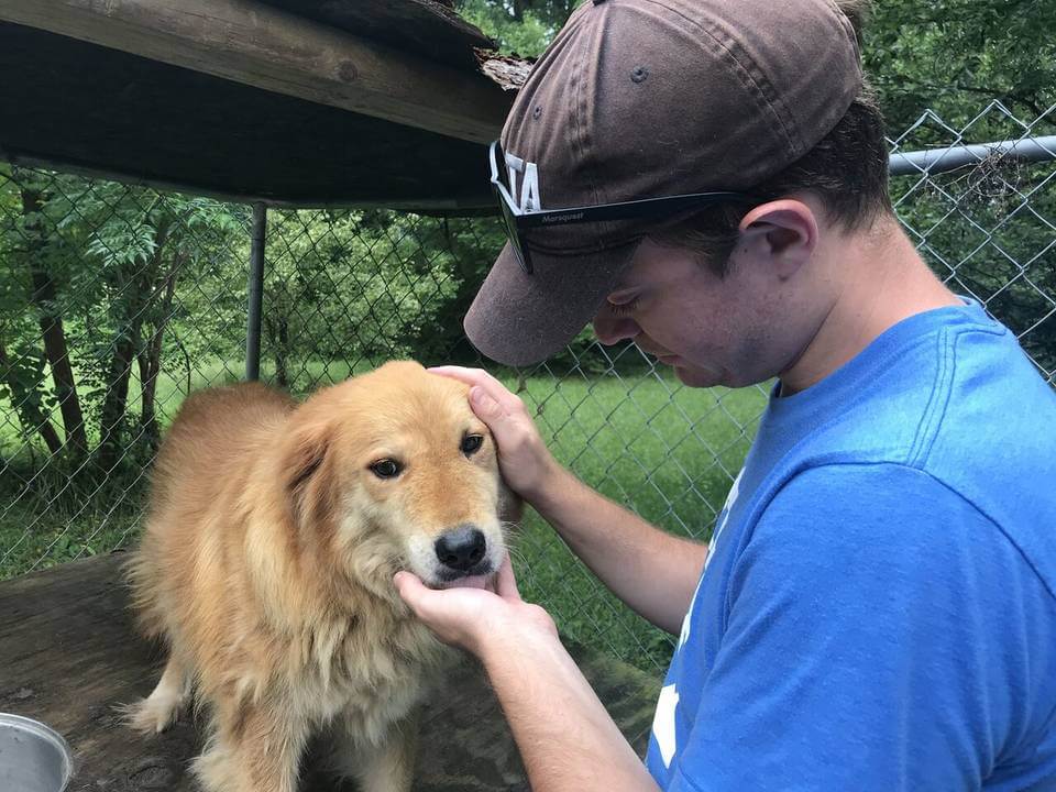 PETA fieldworker pets Mingo, a senior dog rescued by PETA