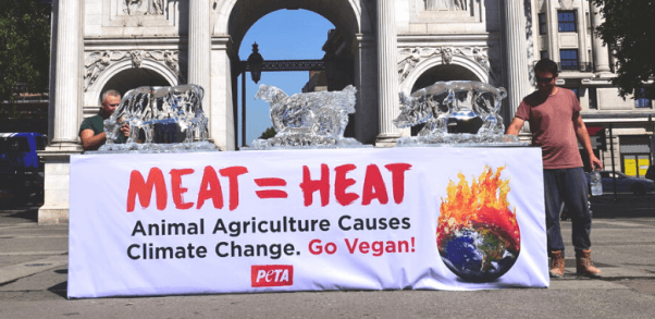 Melting Ice Animals Urge Everyone to Beat the Heat by Going Vegan