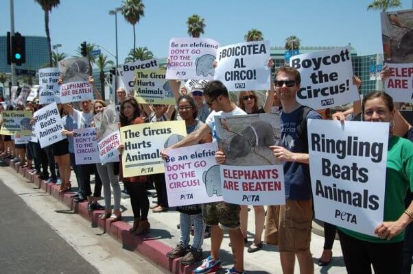 People Protesting the Circus