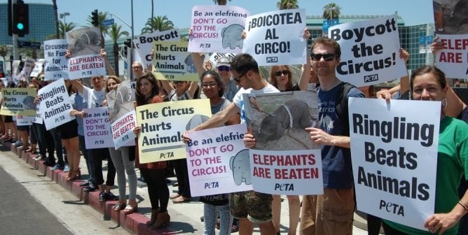 People Protesting the Circus
