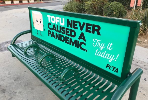 Tofu Never Caused a Pandemic Bench Ad