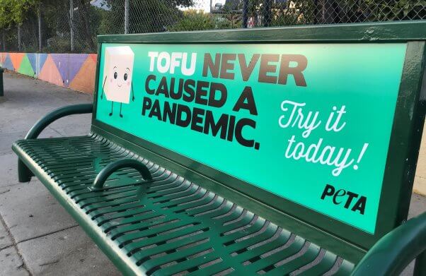 Tofu Never Caused a Pandemic Bench Ad