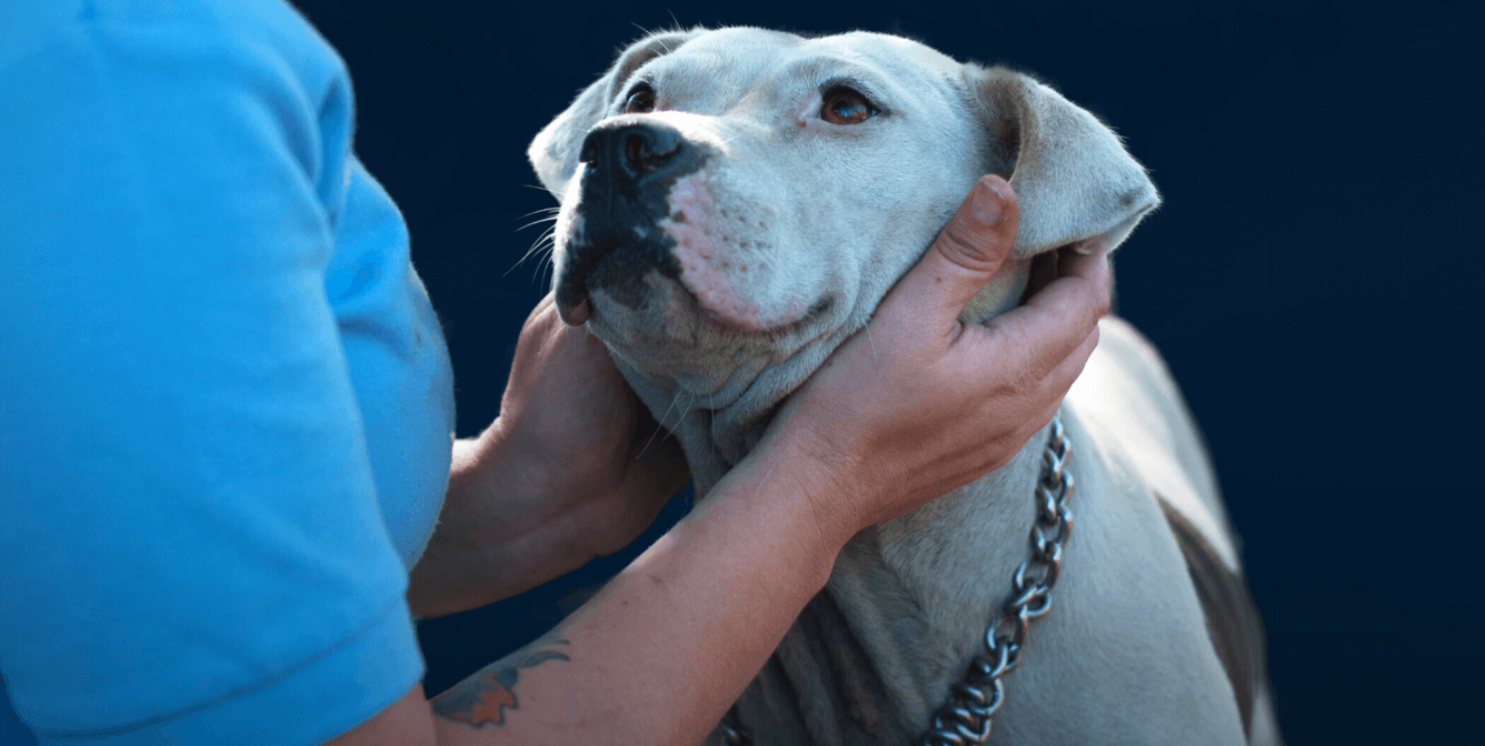 Out Now MustSee Documentary 'Breaking the Chain' PETA