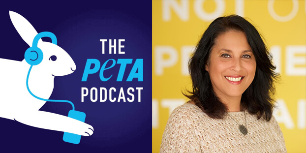 Empathy Lessons for a Pandemic World: TeachKind’s Lisbet Chiriboga on ‘The PETA Podcast’