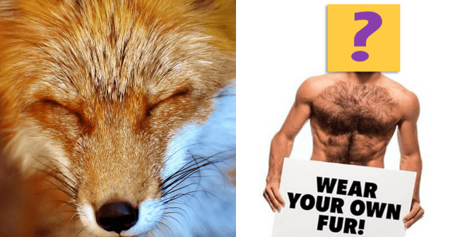 Fox and nev schulman with question mark box over head