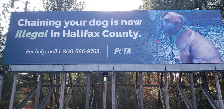 2020 Halifax County Ban on Unattended Tethering of Dogs