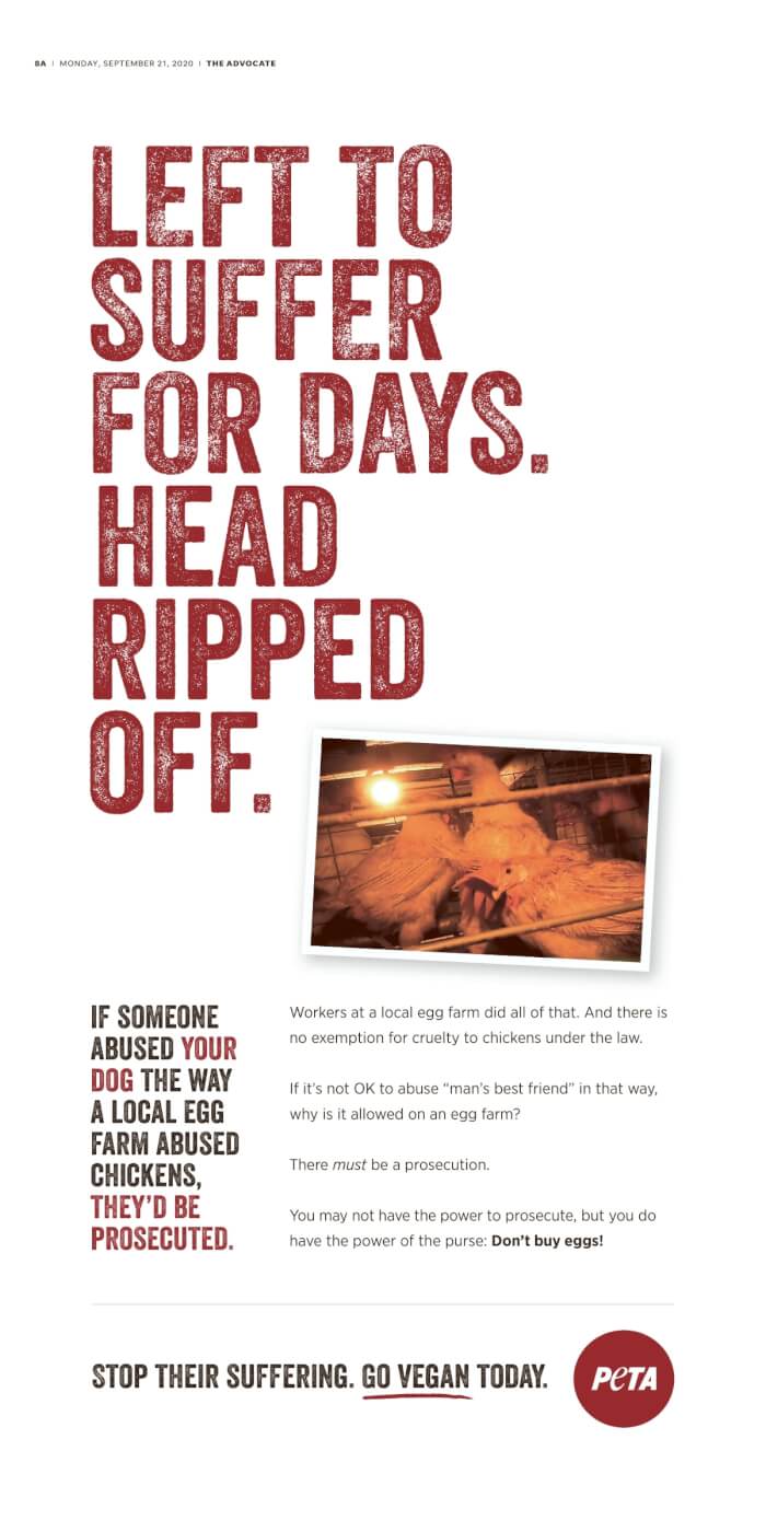 PETA Ad, Trillium Farm, Walmart egg supplier