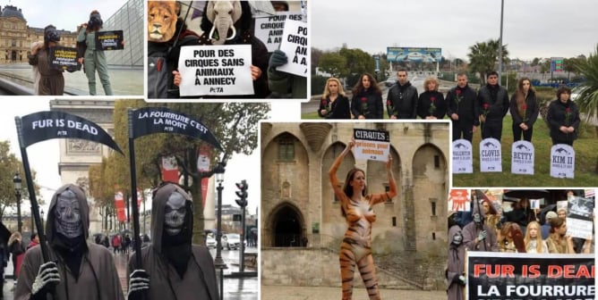 PETA France Collage