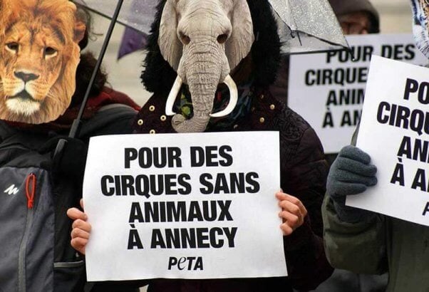 PETA France Circus Demo