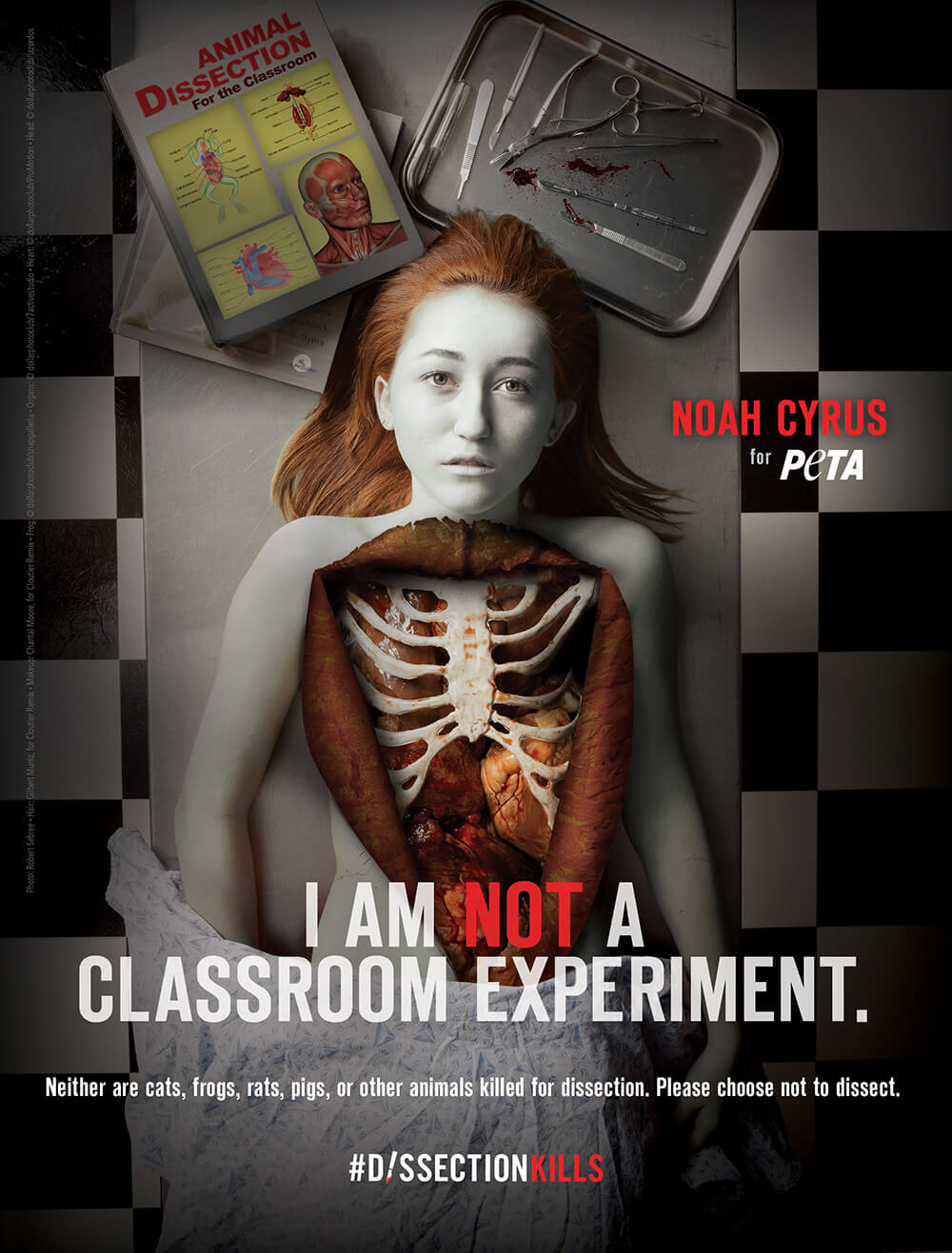 Noah Cyrus Dissection Kills Ad for PETA