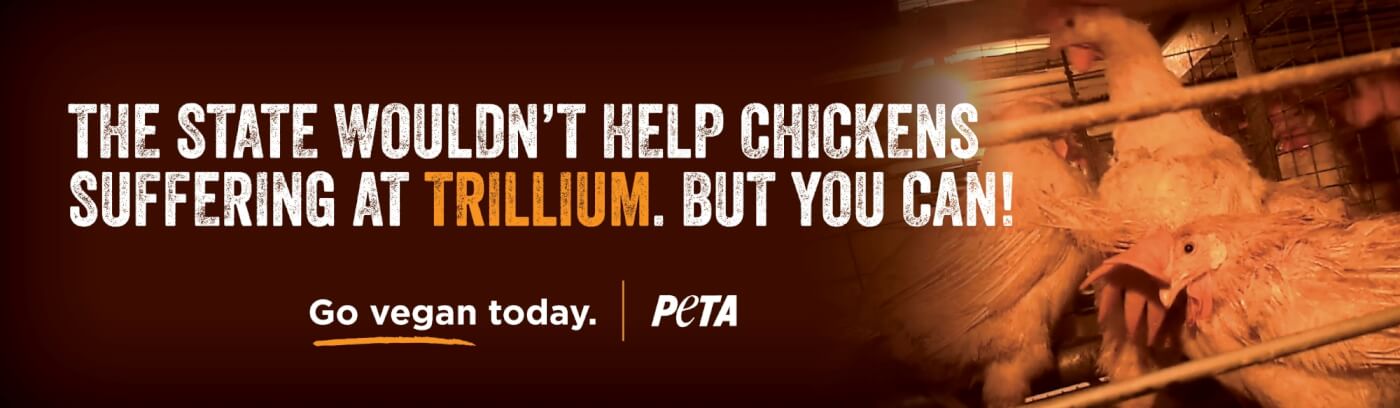 Walmart, trillium farm billboard