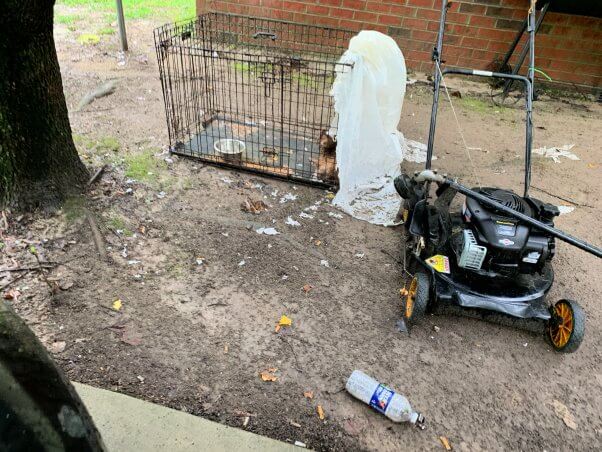 A dog named Wiley soaking wet in an outside crate