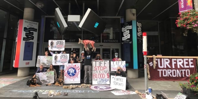 PETA Will Protest the Toronto Film Fest Until Canada Goose Is Dropped