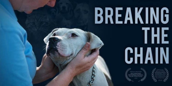 Companion Animal Care page 4 | PETA Companion Animal Care page 4 | PETA