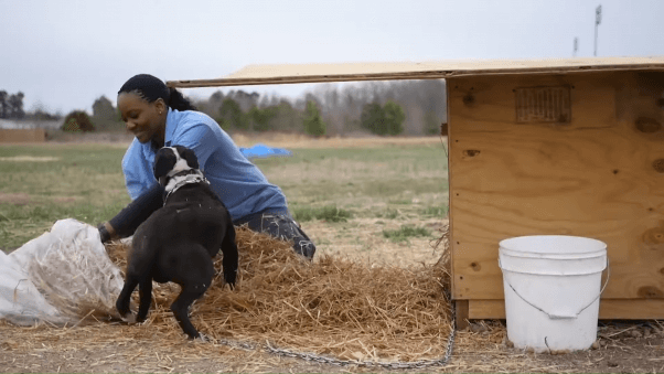 PETA fieldworker delivering a doghouse to a vulnerable dog