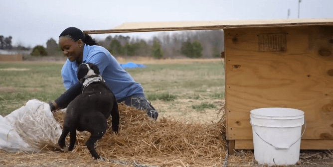 PETA fieldworker delivering a doghouse to a vulnerable dog