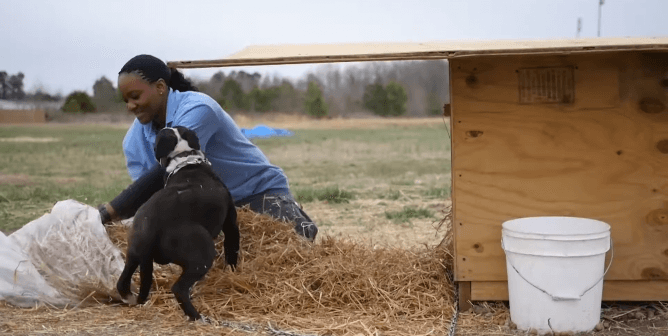 Animals Need You to Watch ‘Breaking the Chain’—Now FREE on Prime Video