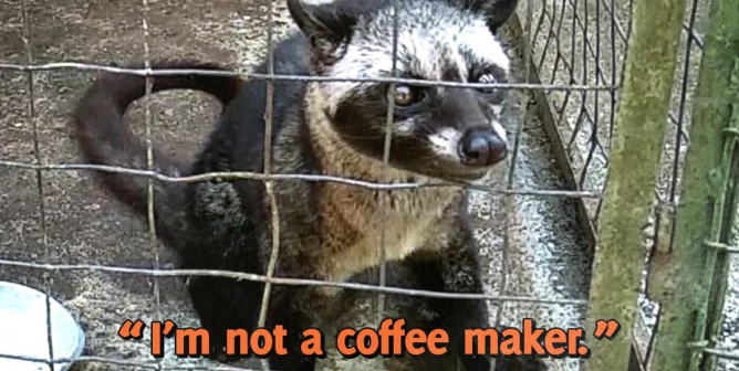 Breaking PETA Asia Investigation: Could Coffee Cause the Next Pandemic?