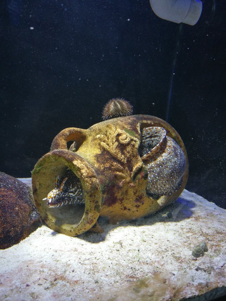 Reviews Horrified SeaQuest Aquarium Visitors Tell All PETA