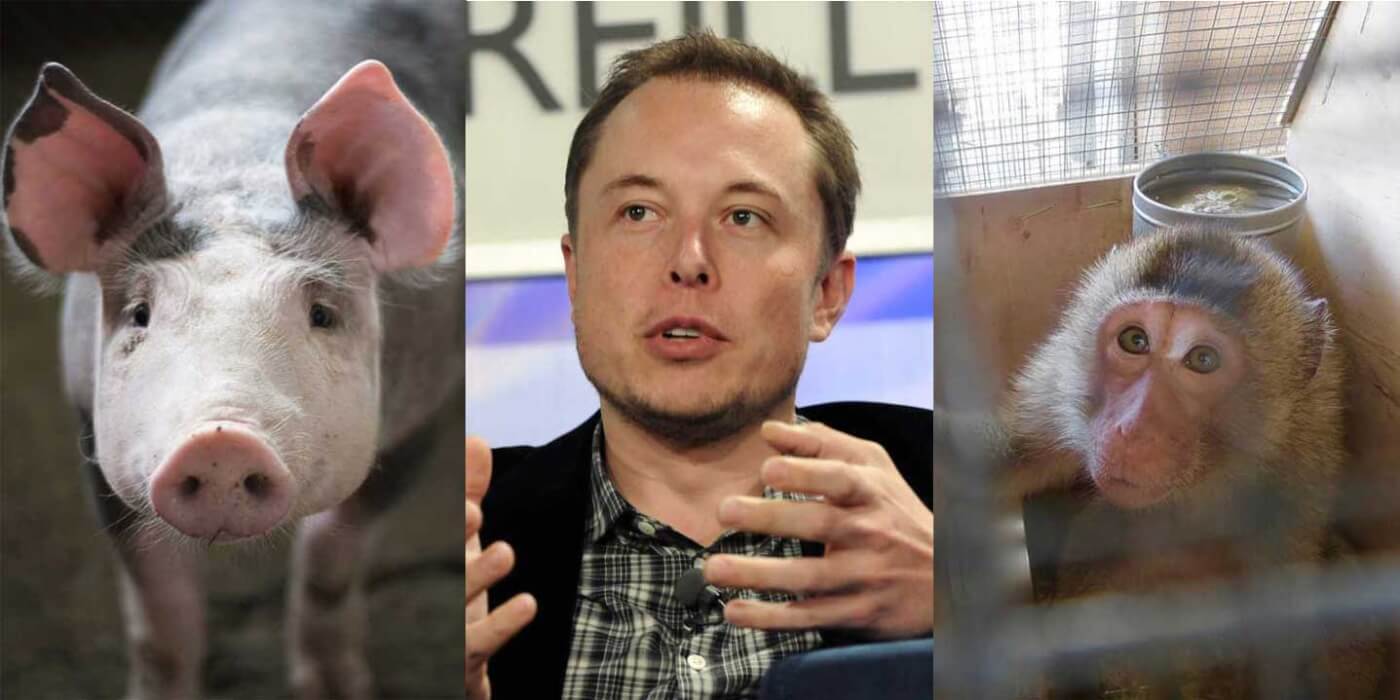 Celebrities page 2 | PETA