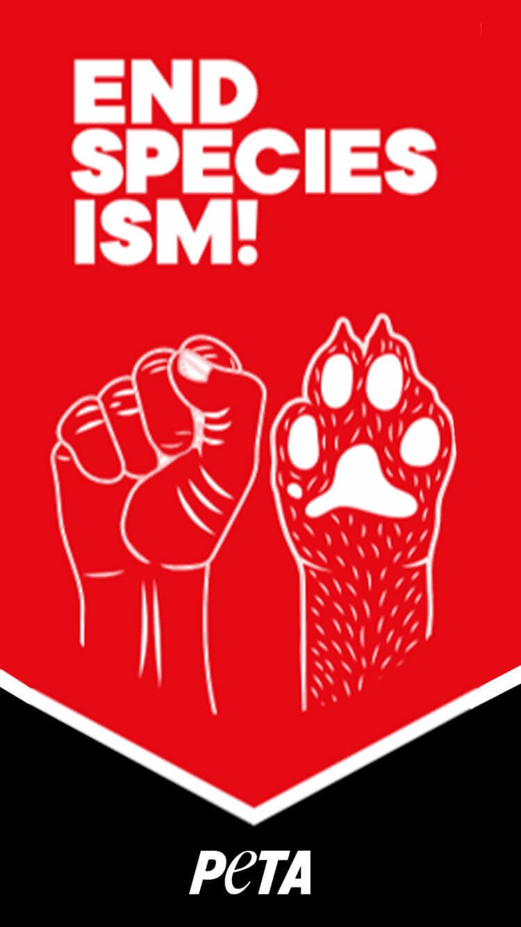 An "End Speciesism!" phone wallpaper that is red and black and shows a drawing of a human fist and an animal's paw
