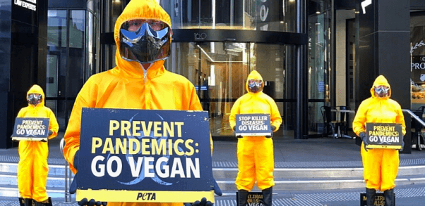 'Avoid Meat Like the Plague,' PETA Australia Members Advise