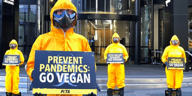 'Avoid Meat Like the Plague,' PETA Australia Members Advise