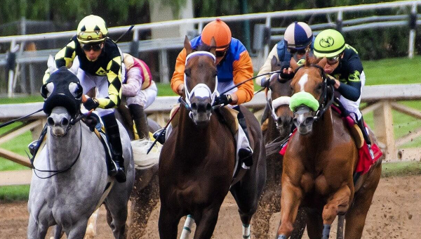New York Only: New Bill Aims to End $230 Million in Corporate Welfare for Horse Racing