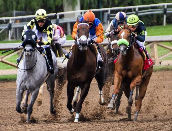 Kentucky Derby Bettors, horse racing