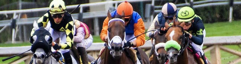 Kentucky Derby Bettors, horse racing
