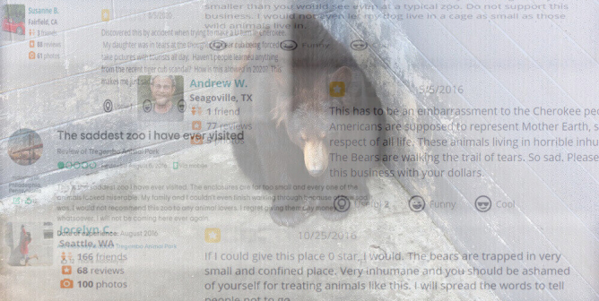 Appalling Visitor Reviews These Roadside Zoos Don’t Want You to See