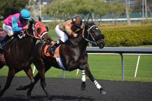 horseracing jockeys with whips