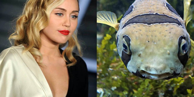 miley cyrus and fish