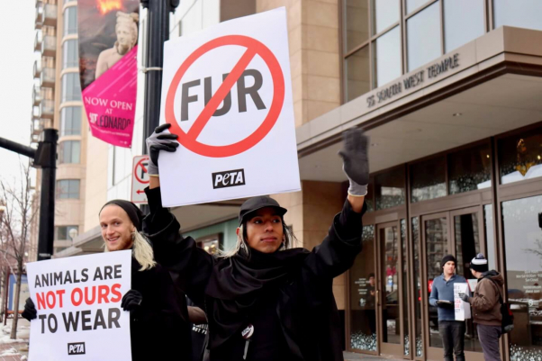 nordstrom fur protest