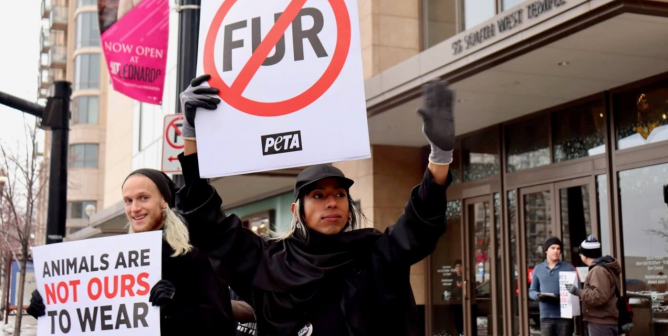 nordstrom fur protest