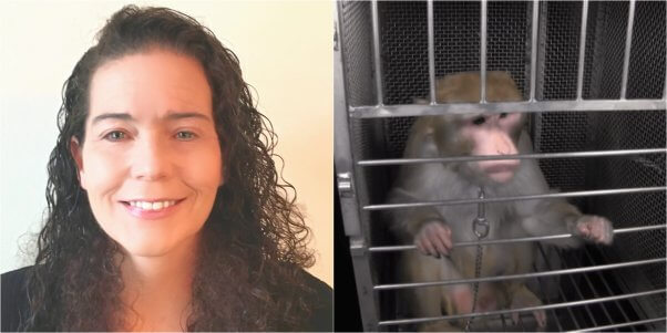 peta neuroscientist dr katherine roe slams elisabeth murray monkey fright night experiments