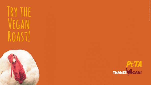 ThanksVegan Zoom Background