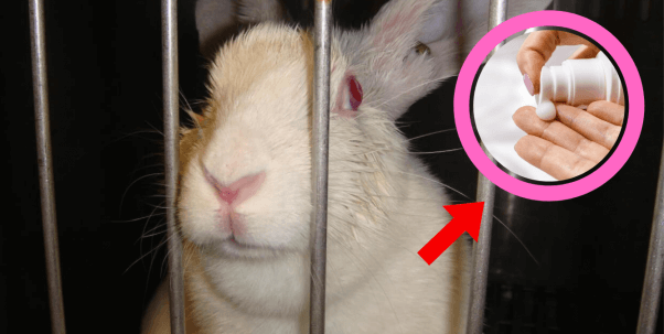 Rabbit in a cage with arrow pointing to sunscreen